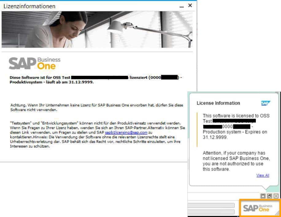 SAP Business One Version 9.3 Administration Anpassung der Lizenzstruktur